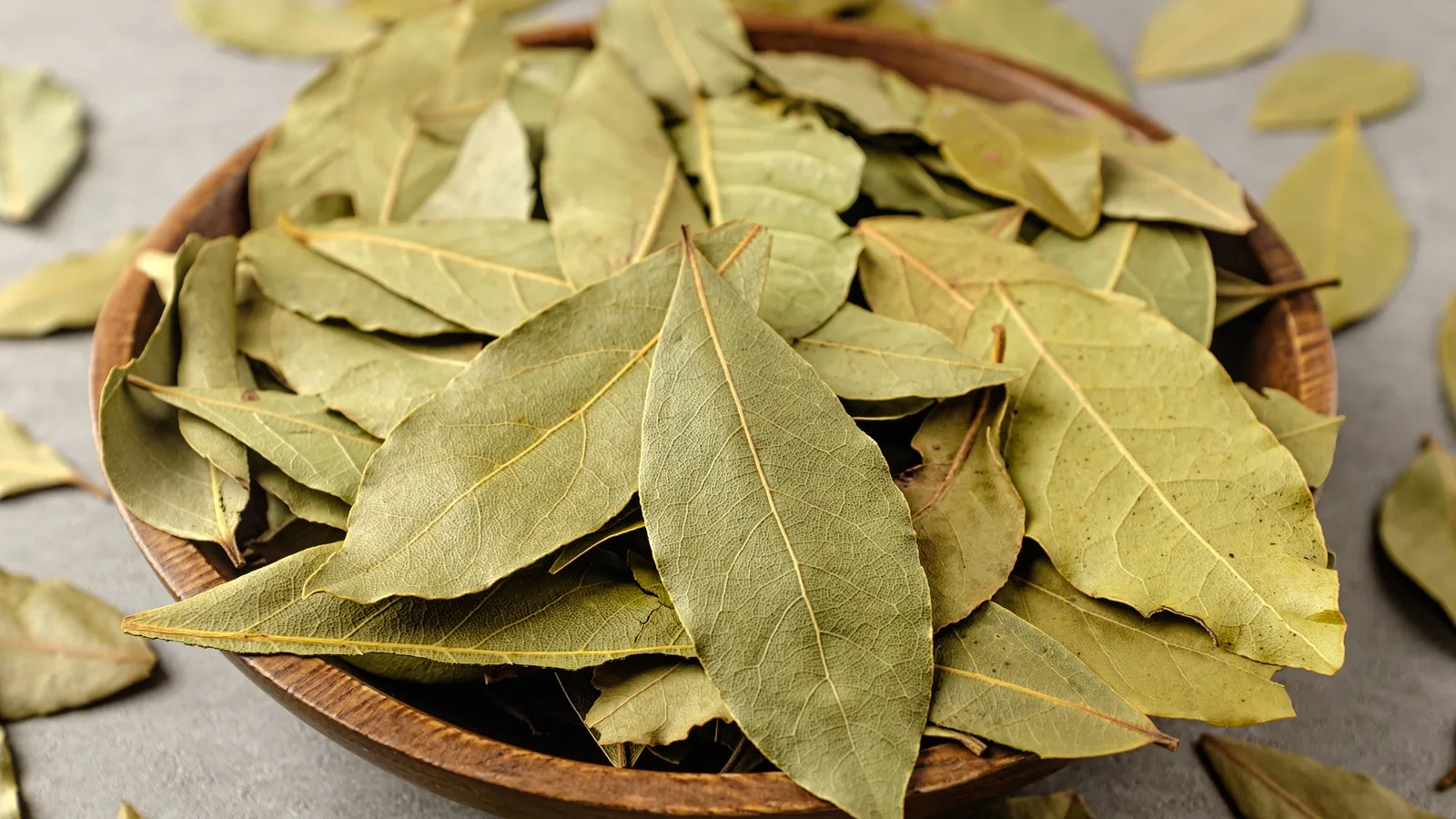 лавровый лист