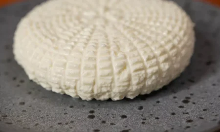 адыгейский сыр