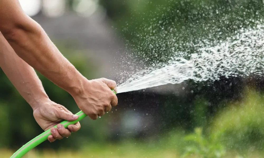 поливание из шланга