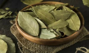 лавровый лист