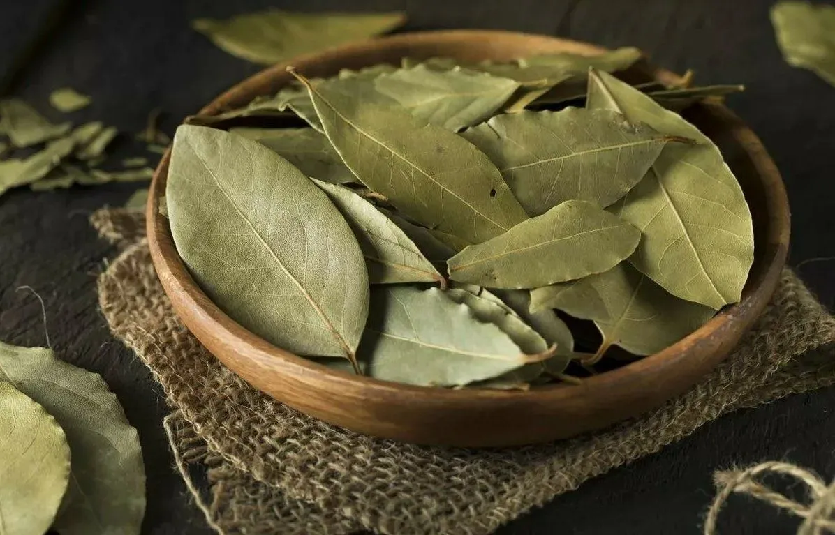 лавровый лист