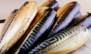 рыба скумбрия