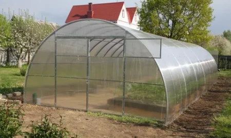 теплица из поликарбоната