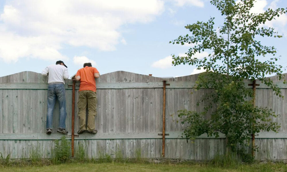Забор между соседями