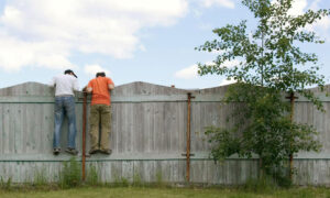 Забор между соседями