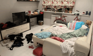 беспорядок в комнате