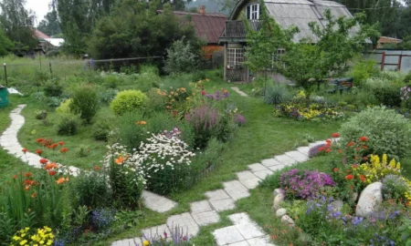 дачный участок