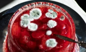 плесень на варенье