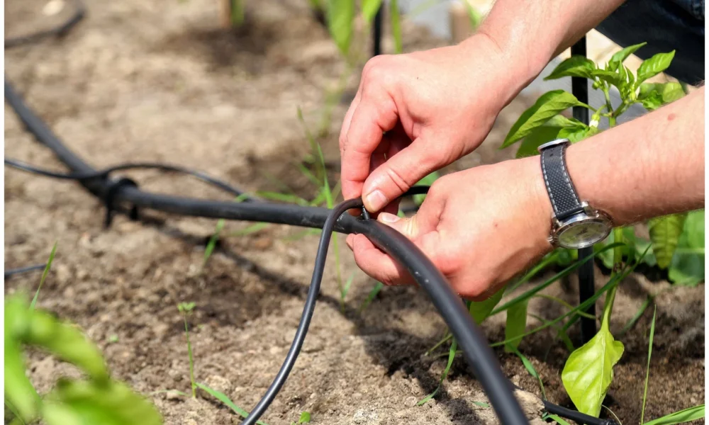 капельный полив