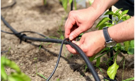 капельный полив