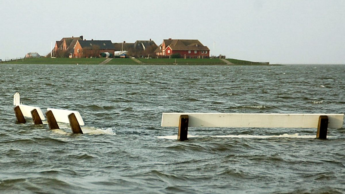 острова Халлигены