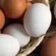 куриные яйца