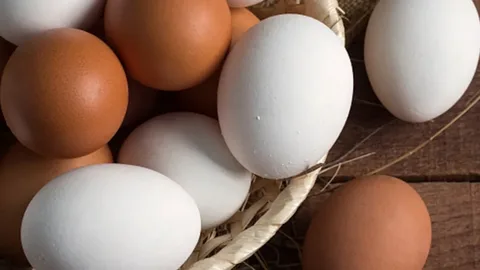 куриные яйца