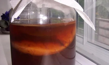 чайный гриб