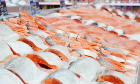 лосось на прилавке