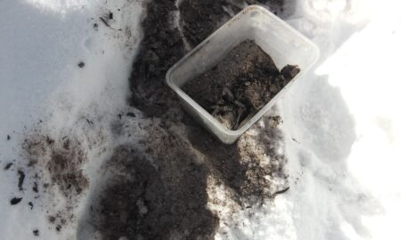 зола на снегу