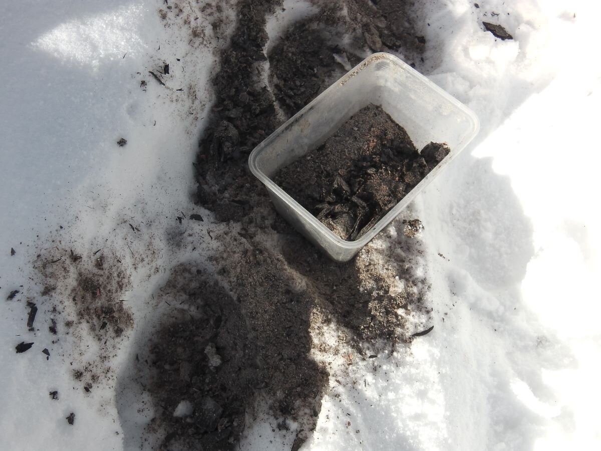 зола на снегу