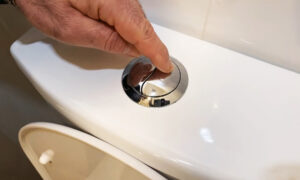 кнопка унитаза