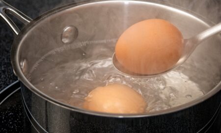 варёные яйца