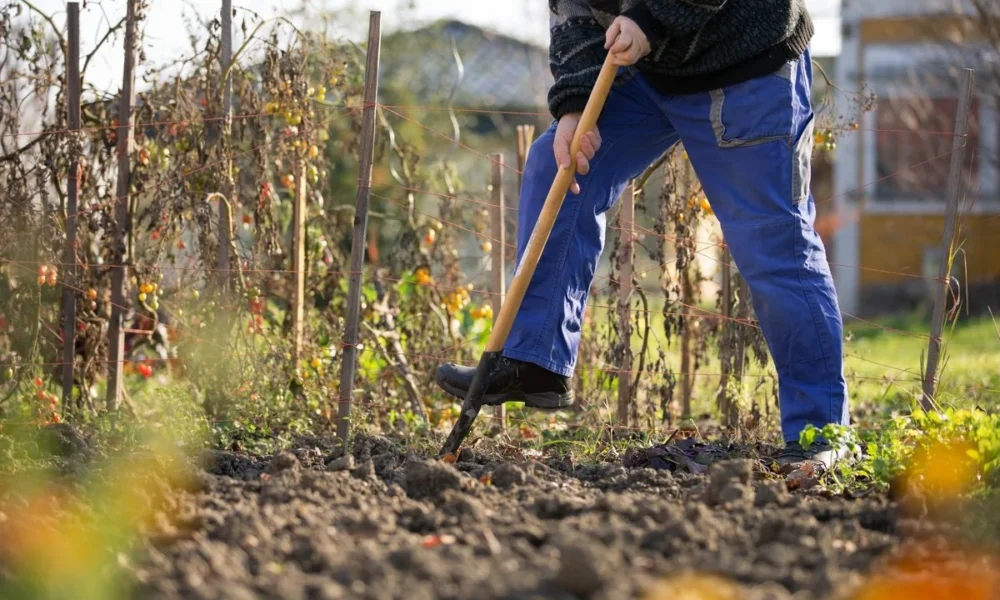 работа в огороде