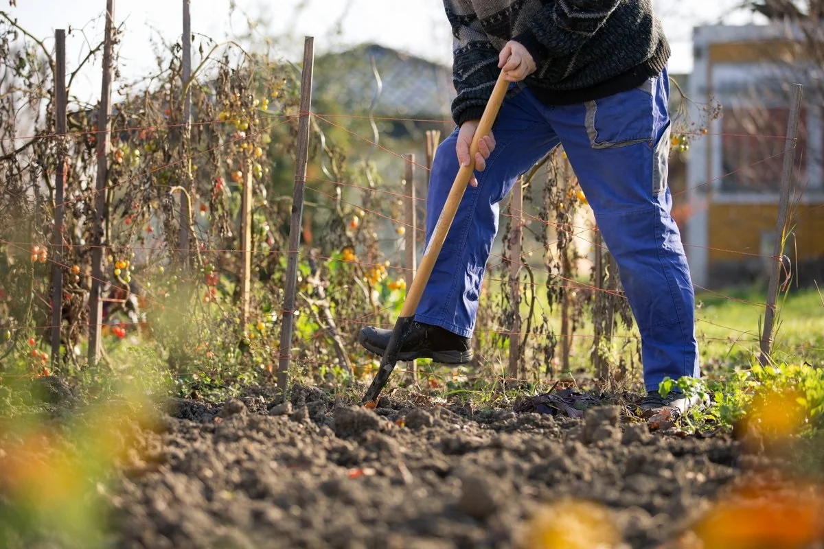 работа в огороде