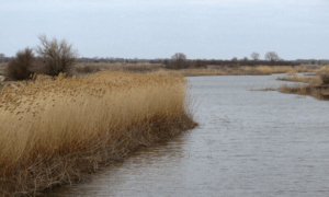 Астраханская глубинка