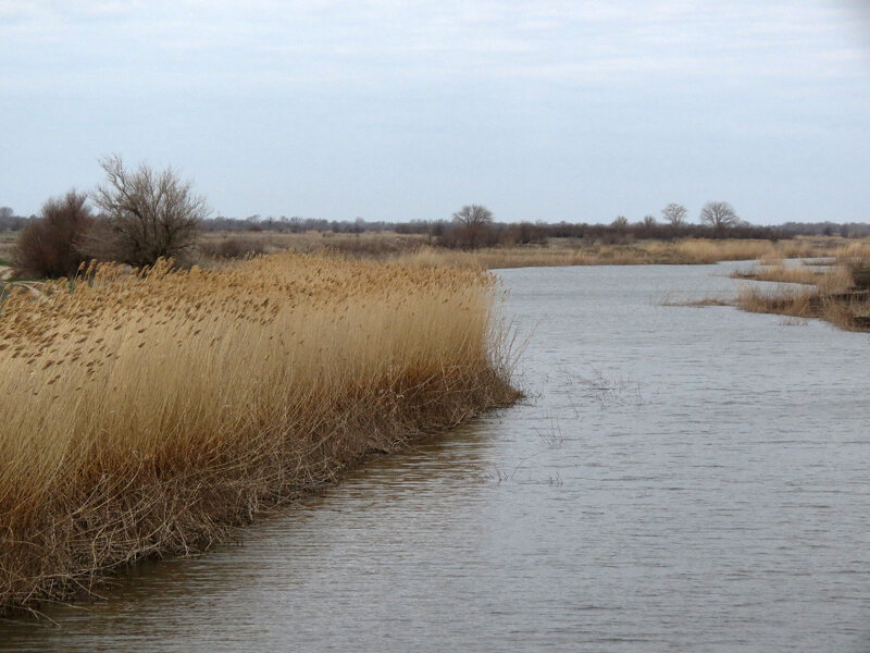 Астраханская глубинка