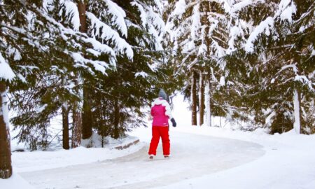 зима в Новгородской области