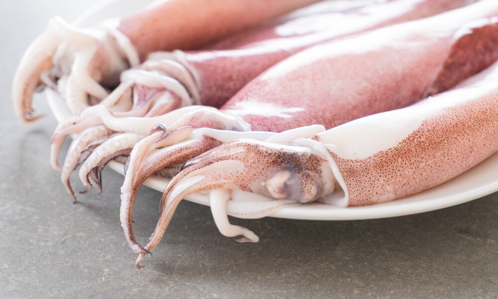 Свежие кальмары в тарелке