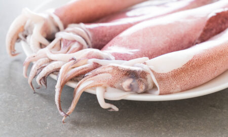 Свежие кальмары в тарелке