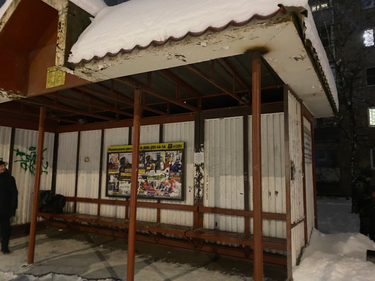 Городская остановка с голубями