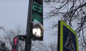 alt новая секция светофора