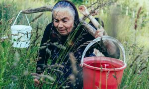 бабушка с ведрами воды
