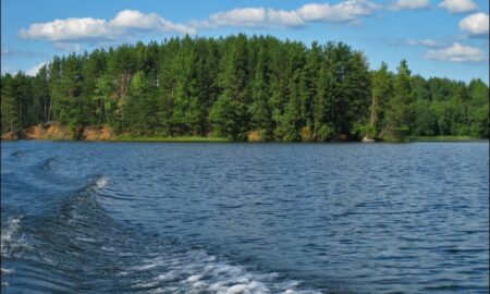 alt озеро и деревья