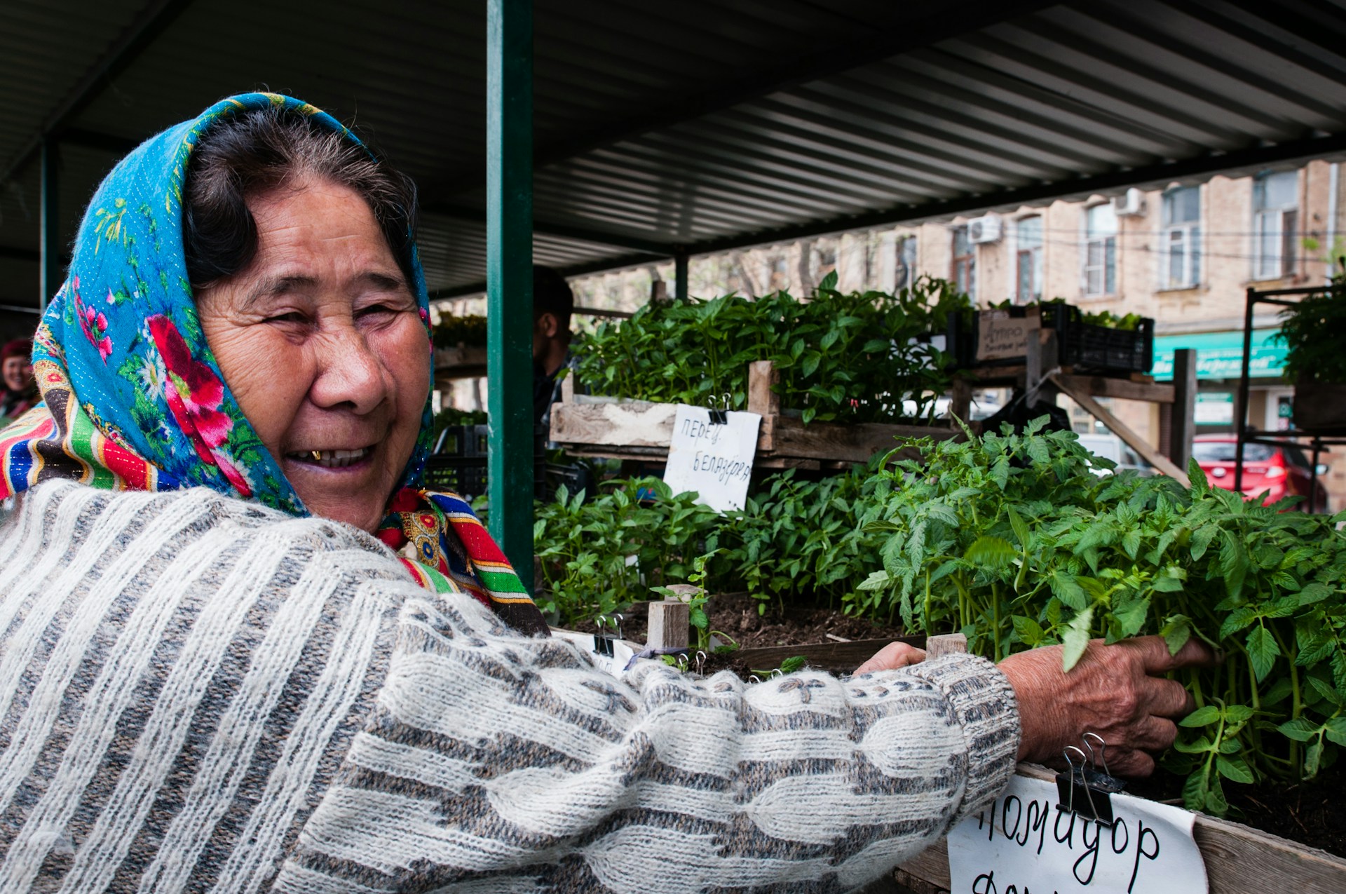 бабушка с зеленью