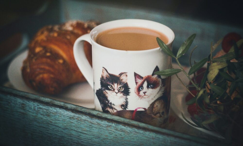 Кружка цикория