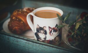 Кружка цикория