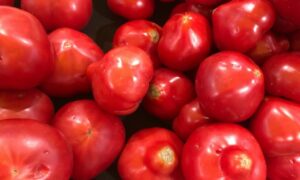 Красные помидоры