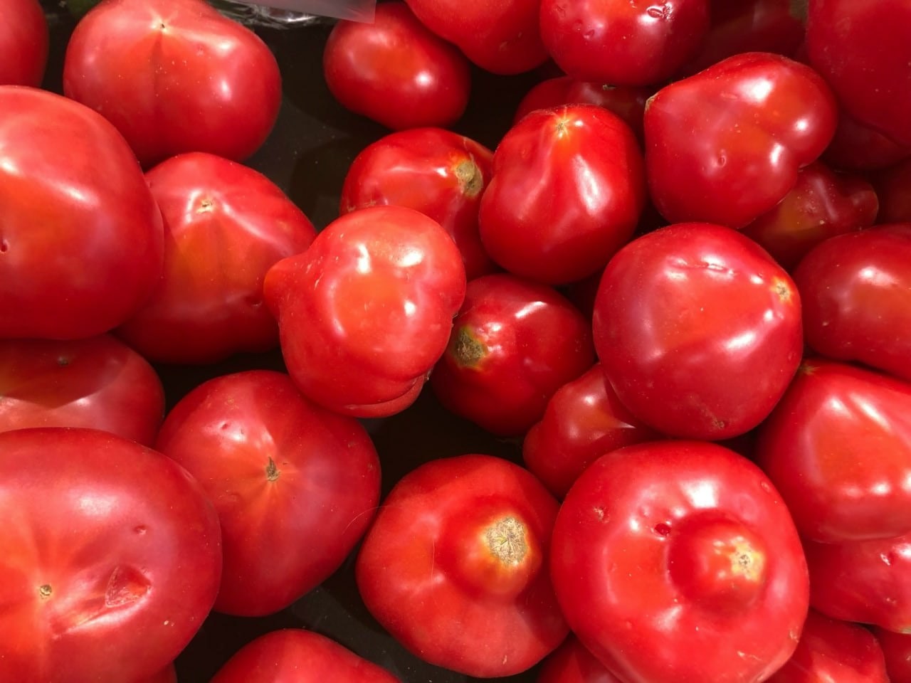 Красные помидоры