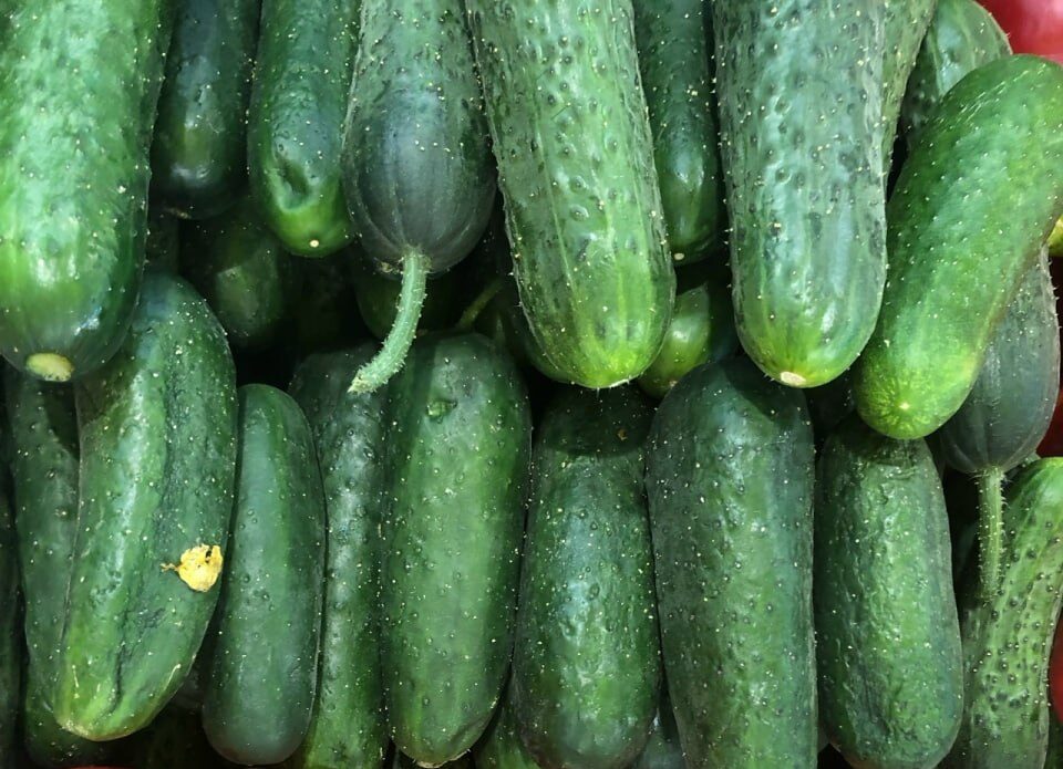 Свежие фермерские огурцы