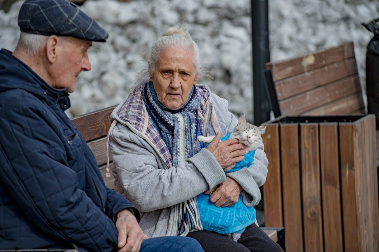 Пенсионерка сидит на скамейке в парке с котом