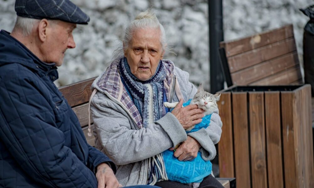 Пенсионеры на скамейке с котом
