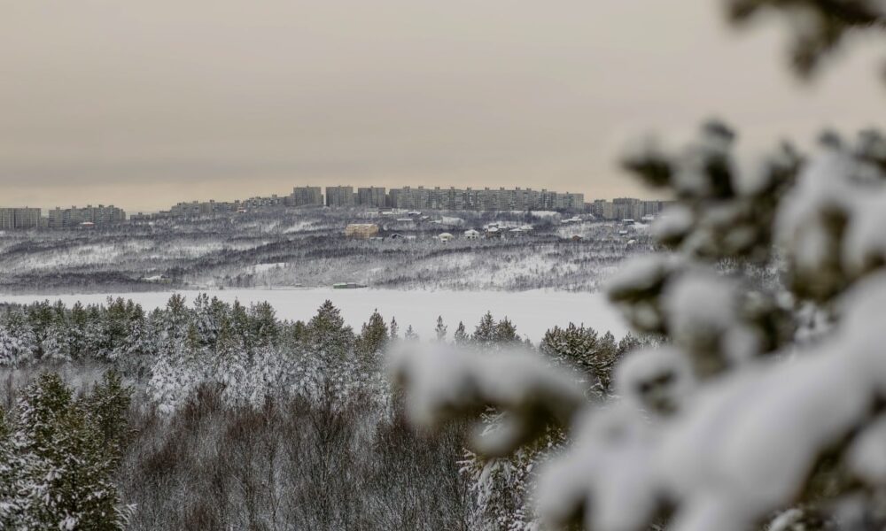 морозный город