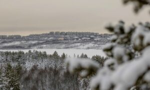 морозный город