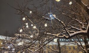 новогодняя подсветка на деревьях