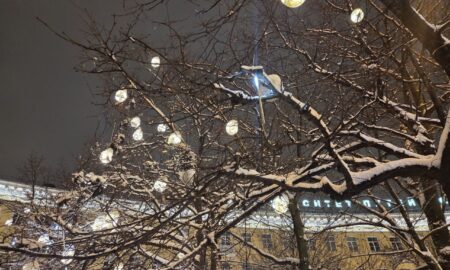 новогодняя подсветка на деревьях