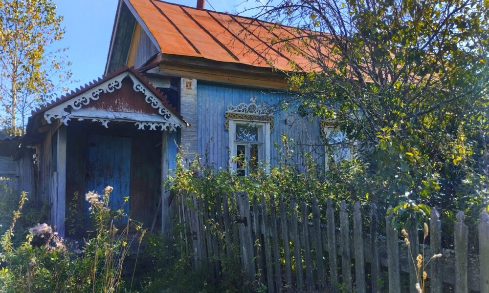 Заброшенный деревянный дом в зарослях травы