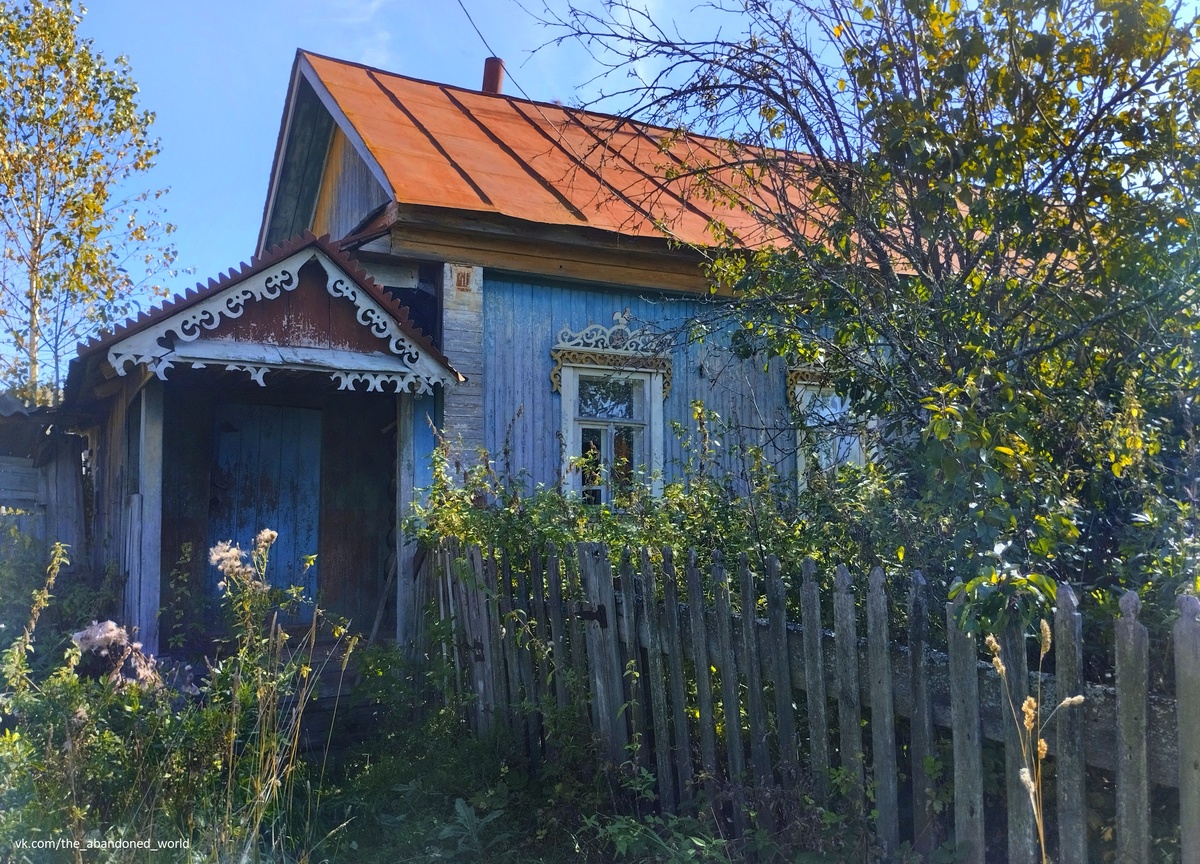 Заброшенный деревянный дом в зарослях травы