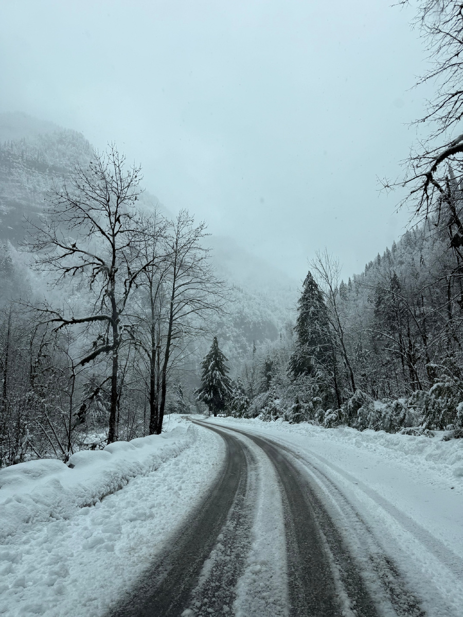 Дорога в Абхазии