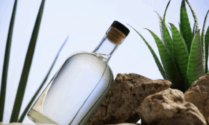 бутылка водки